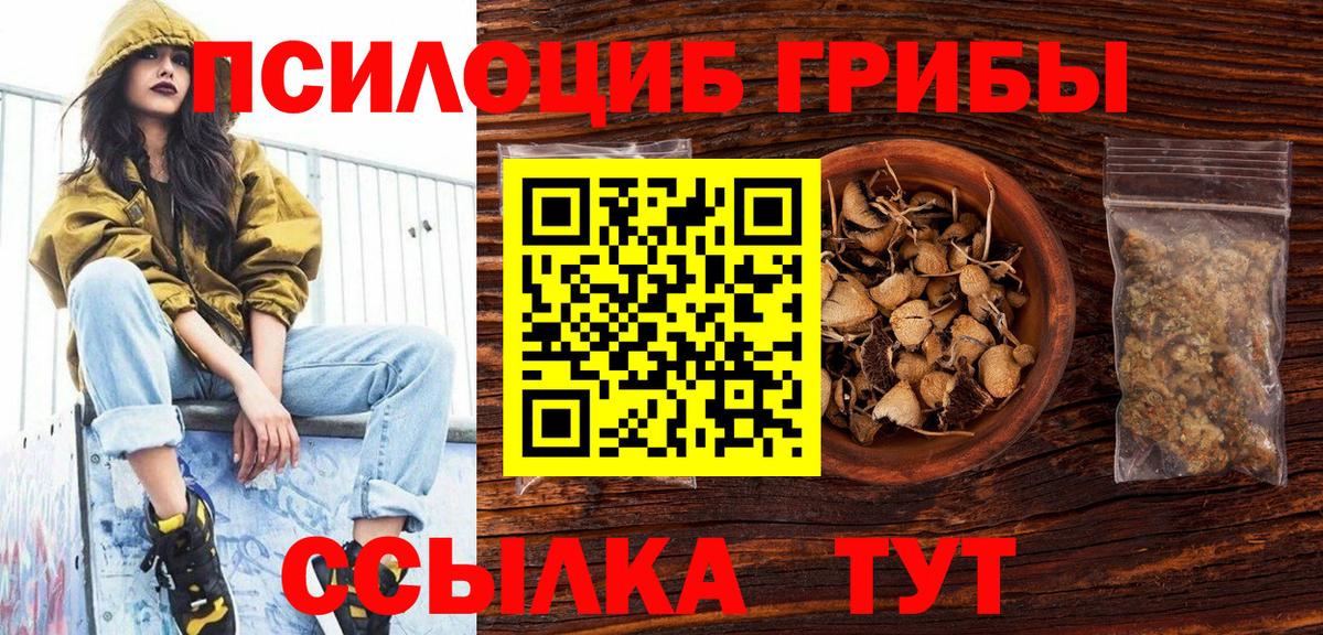 Галлюциногенные грибы Cubensis Евпатория